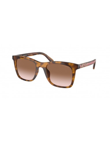 Coach Ck463 8374F Sunglasses shop