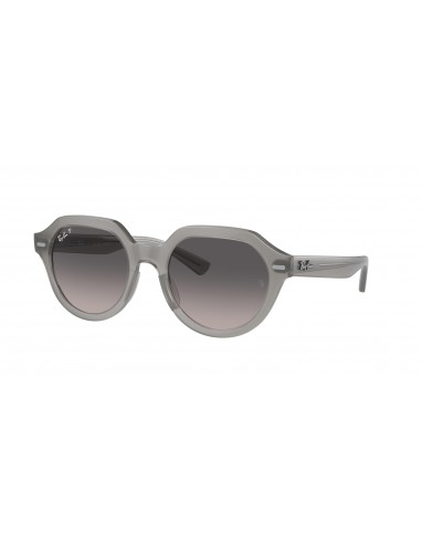 Ray-Ban Gina 4399F Sunglasses de France