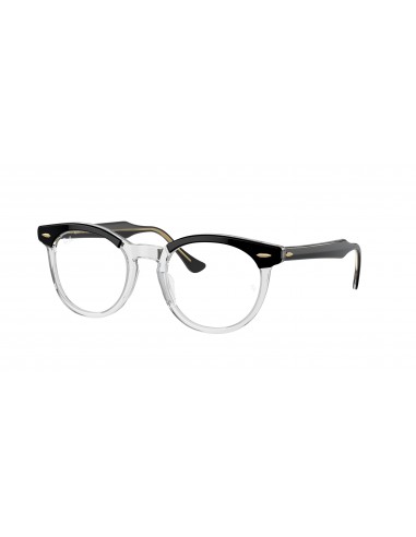 Ray-Ban Eagleeye 5598 Eyeglasses Economisez 