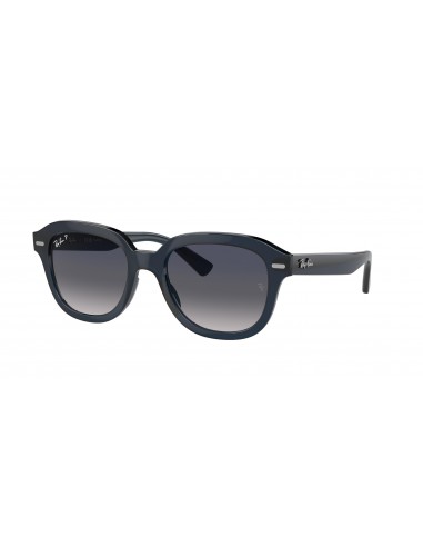 Ray-Ban Erik 4398F Sunglasses outlet