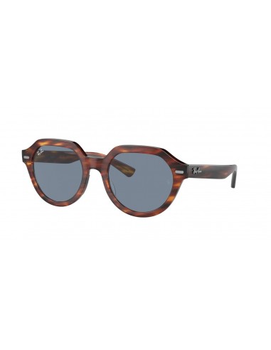 Ray-Ban Gina 4399 Sunglasses Dans la société mordern