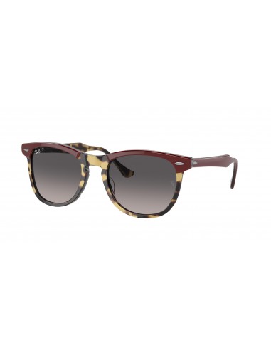 Ray-Ban Eagleeye 2398 Sunglasses Comparez plus de prix