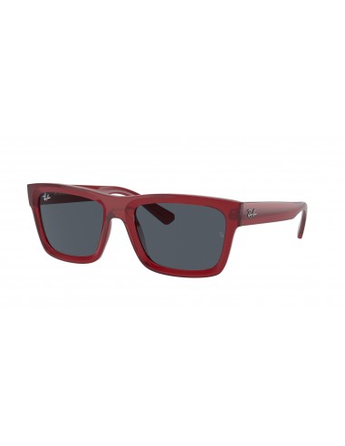 Ray-Ban Warren 4396F Sunglasses les muscles