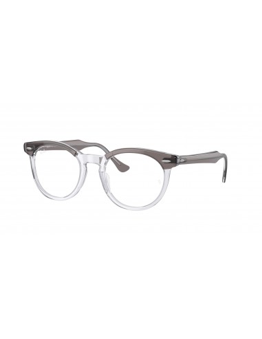 Ray-Ban Eagleeye 5598F Eyeglasses livraison et retour toujours gratuits