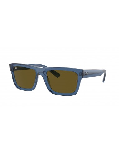 Ray-Ban Warren 4396 Sunglasses ouvre sa boutique