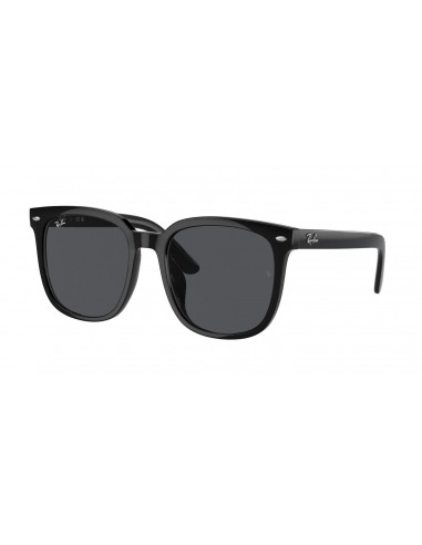 Ray-Ban 4401D Sunglasses la colonne vertébrale