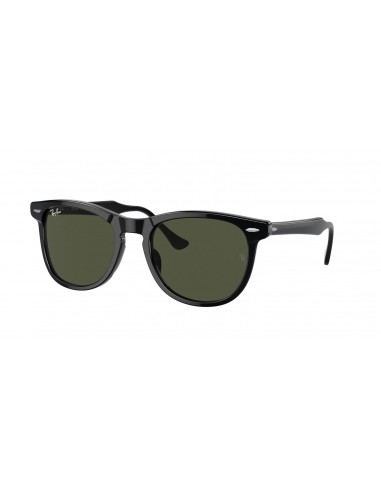 Ray-Ban Eagleeye 2398F Sunglasses Comparez et commandez 