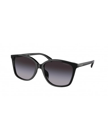 Coach Ch558 8361U Sunglasses Jusqu'à 80% De Réduction