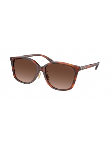 Coach Ch617 8361F Sunglasses prix