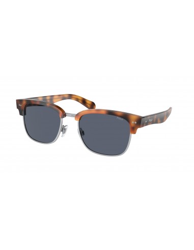 Polo 4202 Sunglasses Jusqu'à 80% De Réduction