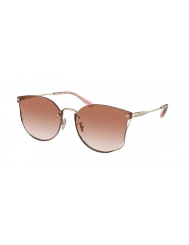 Coach Ch573 7151D Sunglasses Comparez plus de prix