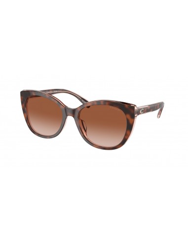 Coach Ch566 8365U Sunglasses Comparez plus de prix