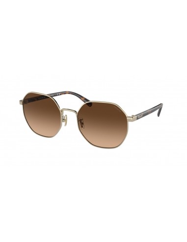 Coach Ch556 7147 Sunglasses outlet