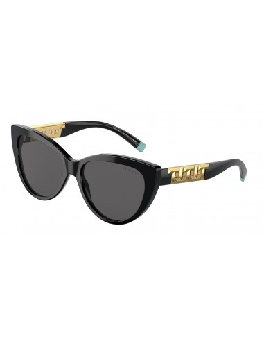 Tiffany 4196 Sunglasses Jusqu'à 80% De Réduction