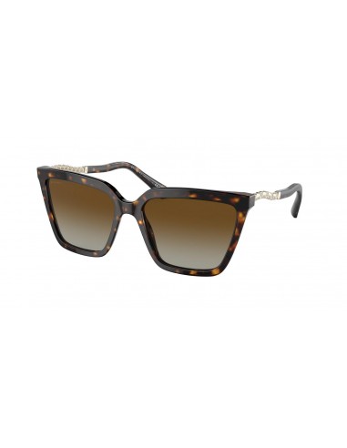 Bvlgari 8255B Sunglasses de l' environnement