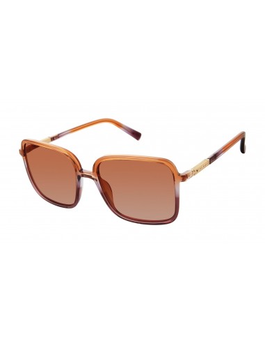 Ted Baker TWS202 Sunglasses store